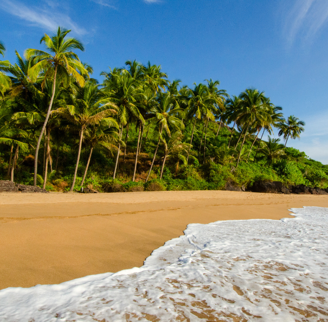 Goa