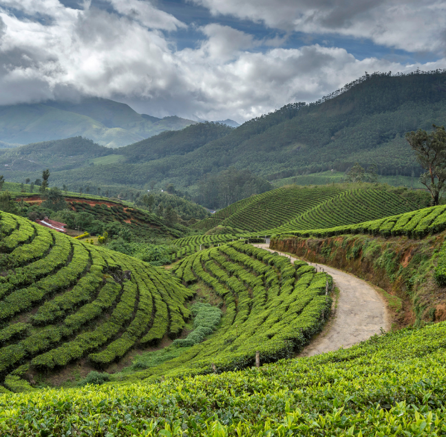 Kerala